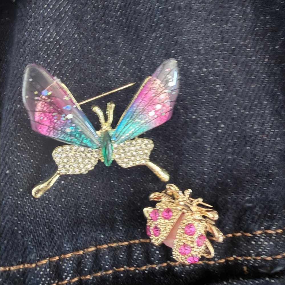 Butterfly and Ladybug Brooch Set - Pink, Teal, Gold- Colorful